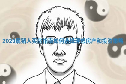 2020属 🚶 猪人买房指南如何选择理想 👰 房产和投资策略