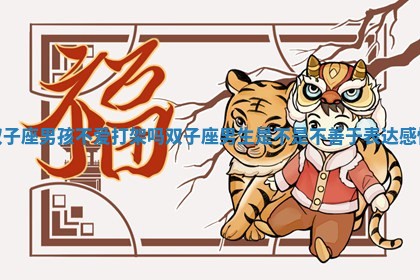 双子座男孩不爱打 🈺 架吗_双 🐷 子座男生是不是不善于表达感情 双子座男孩不爱打 🈺 架吗_双 🐷 子座男生是不是不善于表达感情