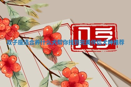 双子座适 🐦 合养什么犬帮你找到完美 ➡ 伴侣犬种推荐