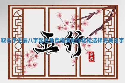 取名字生辰八字起名 🛁 免费指南助你轻松选择完 📛 美名字