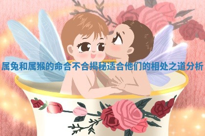属兔和属猴的命合不合揭秘 适合他 ♿ 们的相 ⏮ 处之道分析 属兔和属猴的命合不合揭秘 适合他 ♿ 们的相 ⏮ 处之道分析