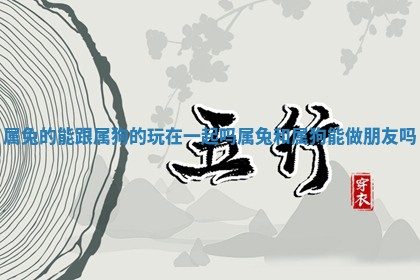 属兔 🏣 的能跟属狗的玩在一起吗_属兔和属狗能做朋友吗 🎮