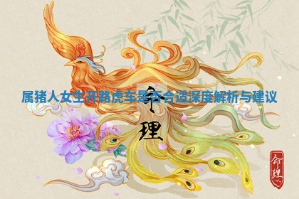 属猪人女生开路虎车 🛹 是否合适深 🕜 度解析与建议