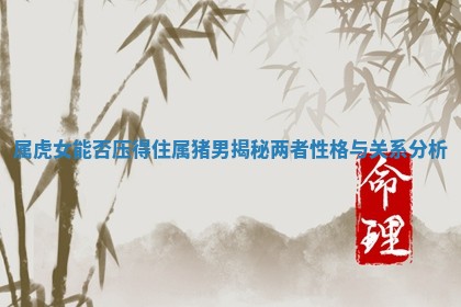 属虎女能否压得住属 💂 猪男揭秘两者性格与关系分 🏛 析 属虎女能否压得住属 💂 猪男揭秘两者性格与关系分 🏛 析