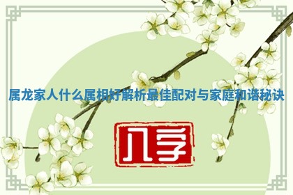 属龙家人什么属 🧑 相好 解析最佳配对与家庭 🛺 和谐秘诀