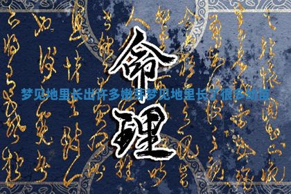 梦 🧀 见地里长出许多嫩芽_梦 🍳 见地里长了很多幼苗