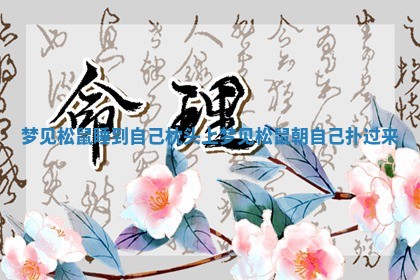梦见松鼠睡到 👥 自己枕头上_梦见松鼠朝自己扑过 👕 来