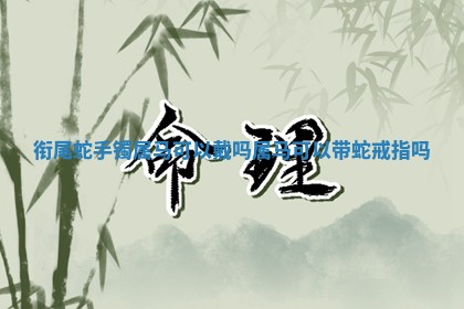 衔尾蛇手 👷 镯属马可 😏 以戴吗_属马可以带蛇戒指吗